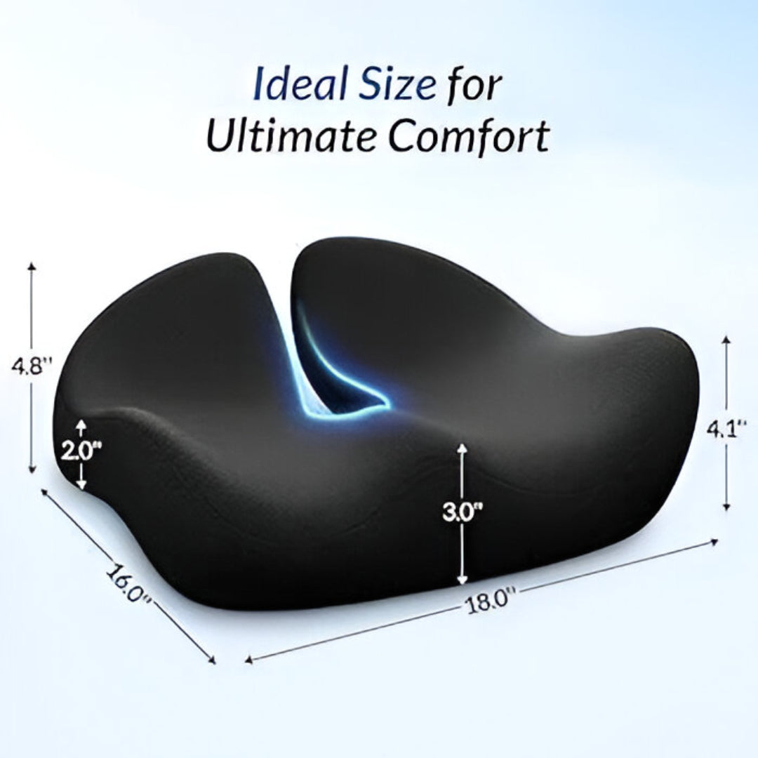 Pioneering Ergonomic Seat Cushions